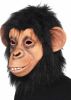 Masque Singe Chimpanzé Complet