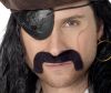 Moustaches Pirate