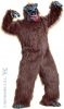 Ours Brun Peluche
