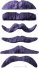 Pack de 12 Moustaches avec 6 modèles Gris